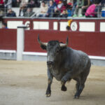 Madrid - Las Ventas - Domingo de Ramos - 24 de marzo de 2018