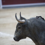 Madrid - Las Ventas - Domingo de Ramos - 24 de marzo de 2018