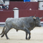Madrid - Las Ventas - Domingo de Ramos - 24 de marzo de 2018