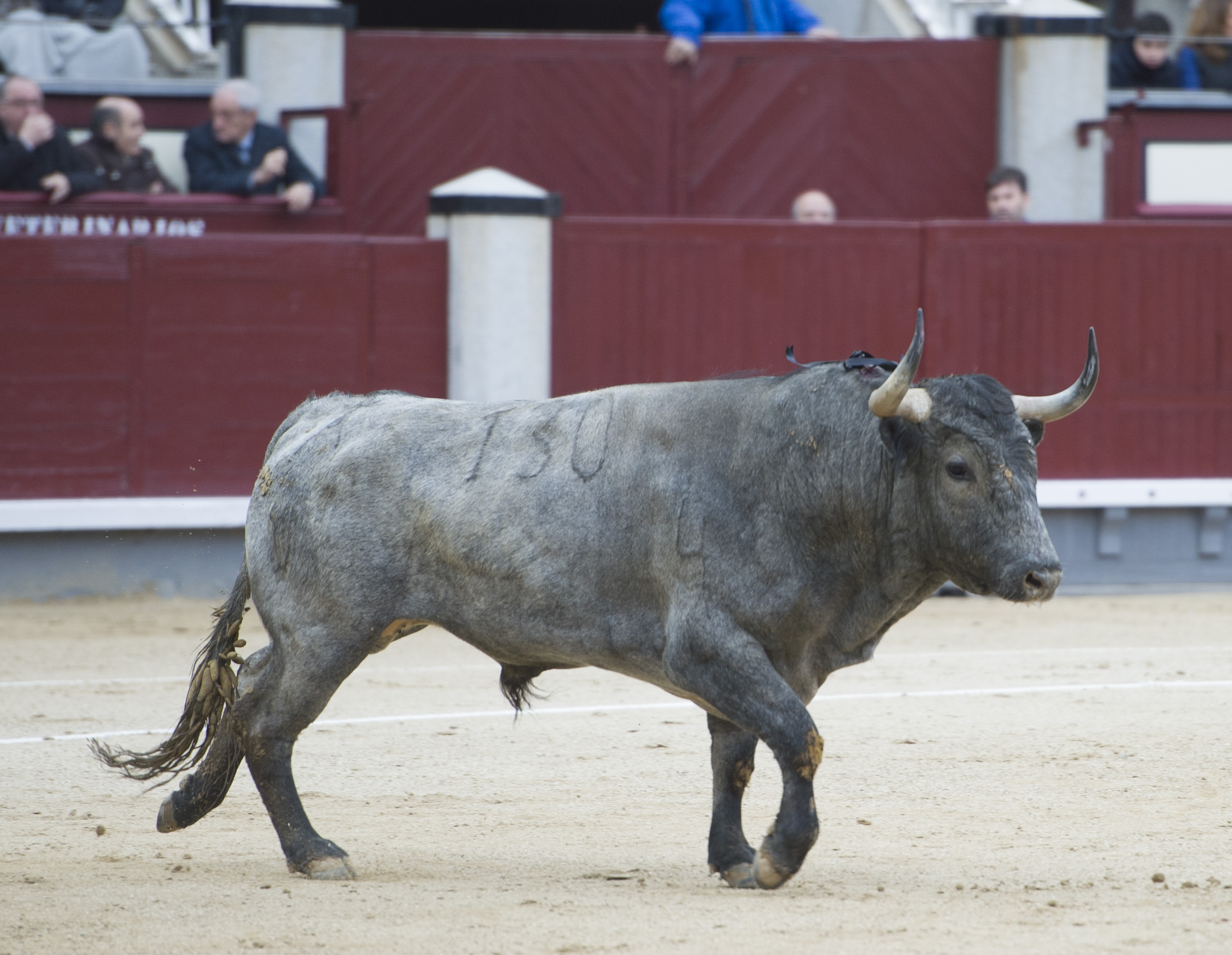 Madrid - Las Ventas - Domingo de Ramos - 24 de marzo de 2018