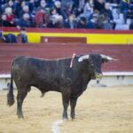 Castellón - 1ª de Feria de la Magdalena 2018 - Domingo 4 de marzo de 2018