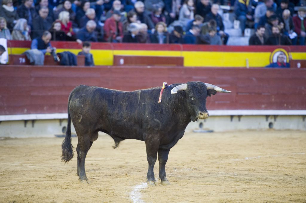 Castellón - 1ª de Feria de la Magdalena 2018 - Domingo 4 de marzo de 2018