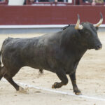 Madrid - Las Ventas - Domingo de Ramos - 24 de marzo de 2018