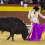 Castellón - 1ª de Feria de la Magdalena 2018 - Domingo 4 de marzo de 2018