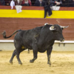 Castellón - 1ª de Feria de la Magdalena 2018 - Domingo 4 de marzo de 2018