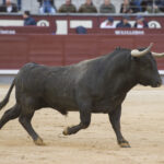 Madrid - Las Ventas - Domingo de Ramos - 24 de marzo de 2018