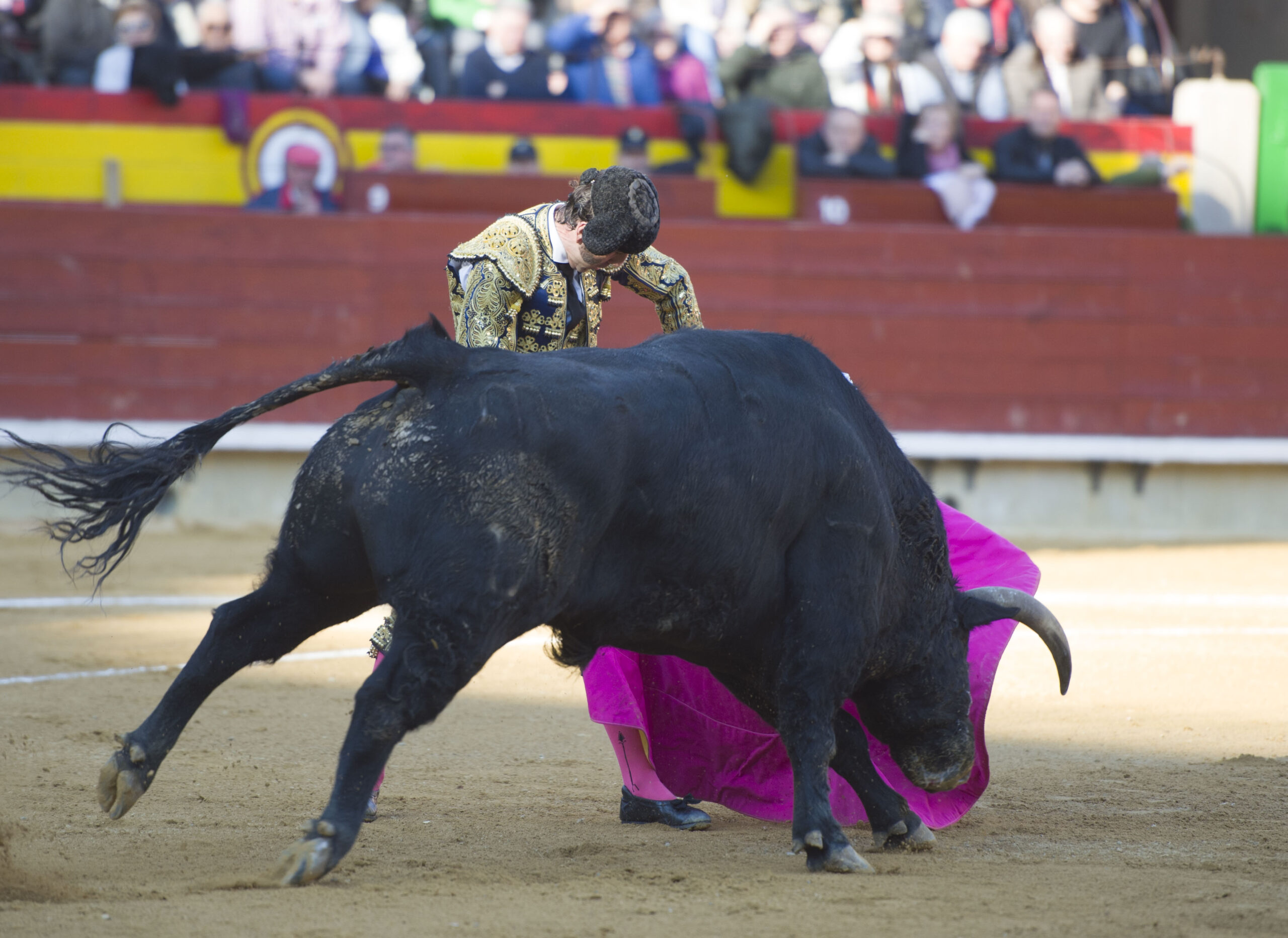 Castellón, Magdalena, 8 de marzo de 2018.