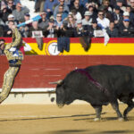 Castellón, Magdalena, 8 de marzo de 2018.