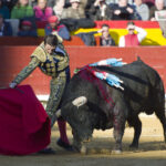 Castellón, Magdalena, 8 de marzo de 2018.