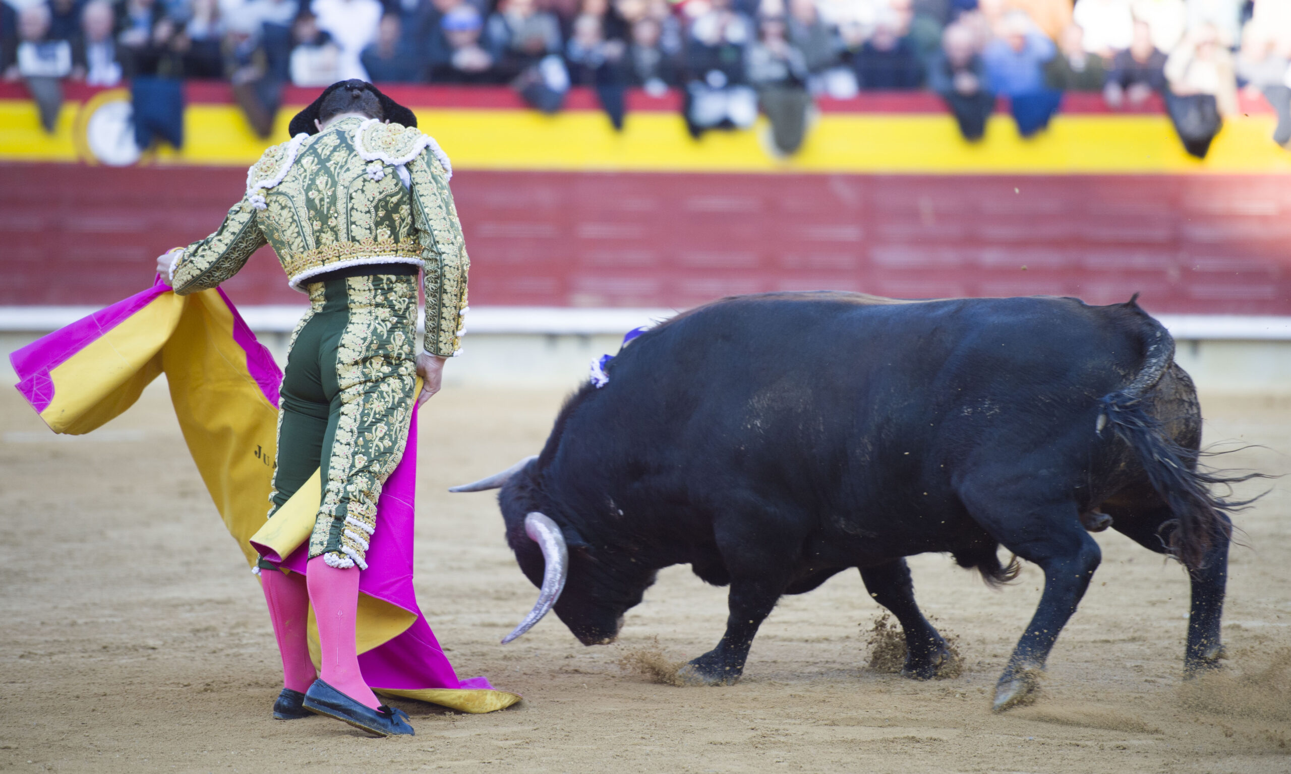 Castellón, Magdalena, 8 de marzo de 2018.