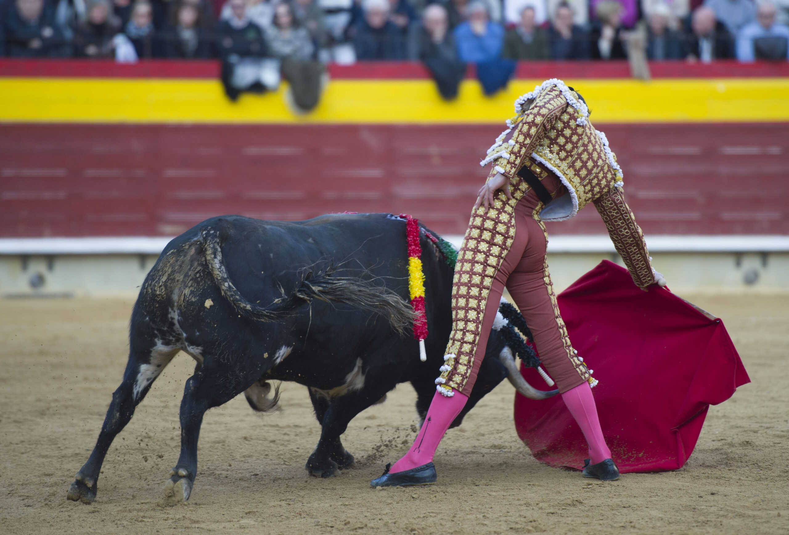 Castellón, Magdalena, 8 de marzo de 2018.