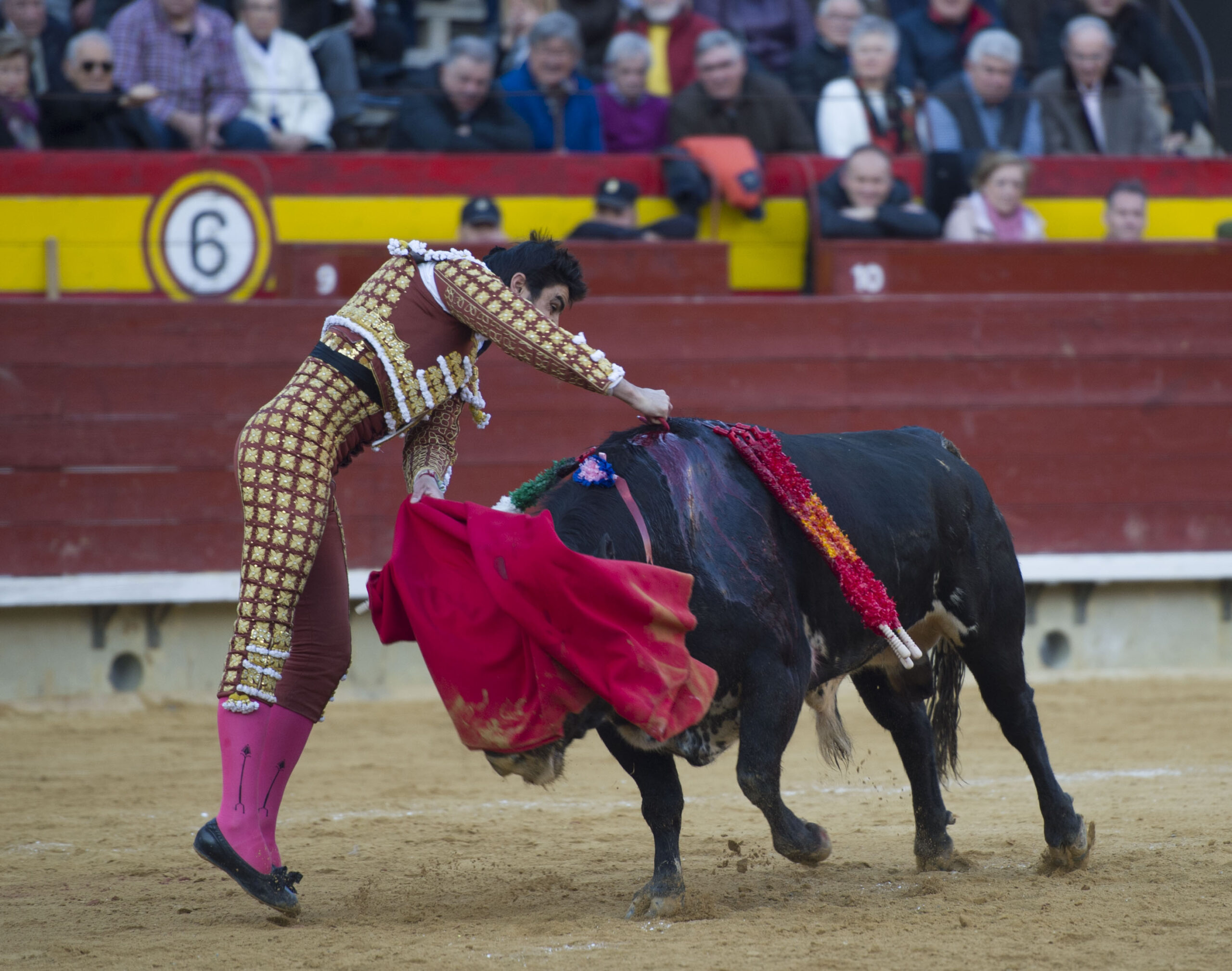 Castellón, Magdalena, 8 de marzo de 2018.