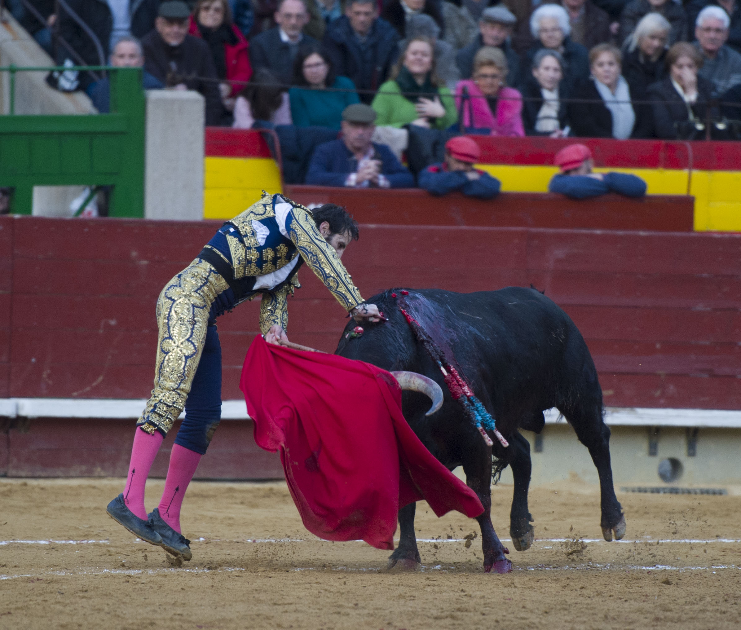 Castellón, Magdalena, 8 de marzo de 2018.