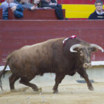Castellón. Viernes 9 de marzo de 2018