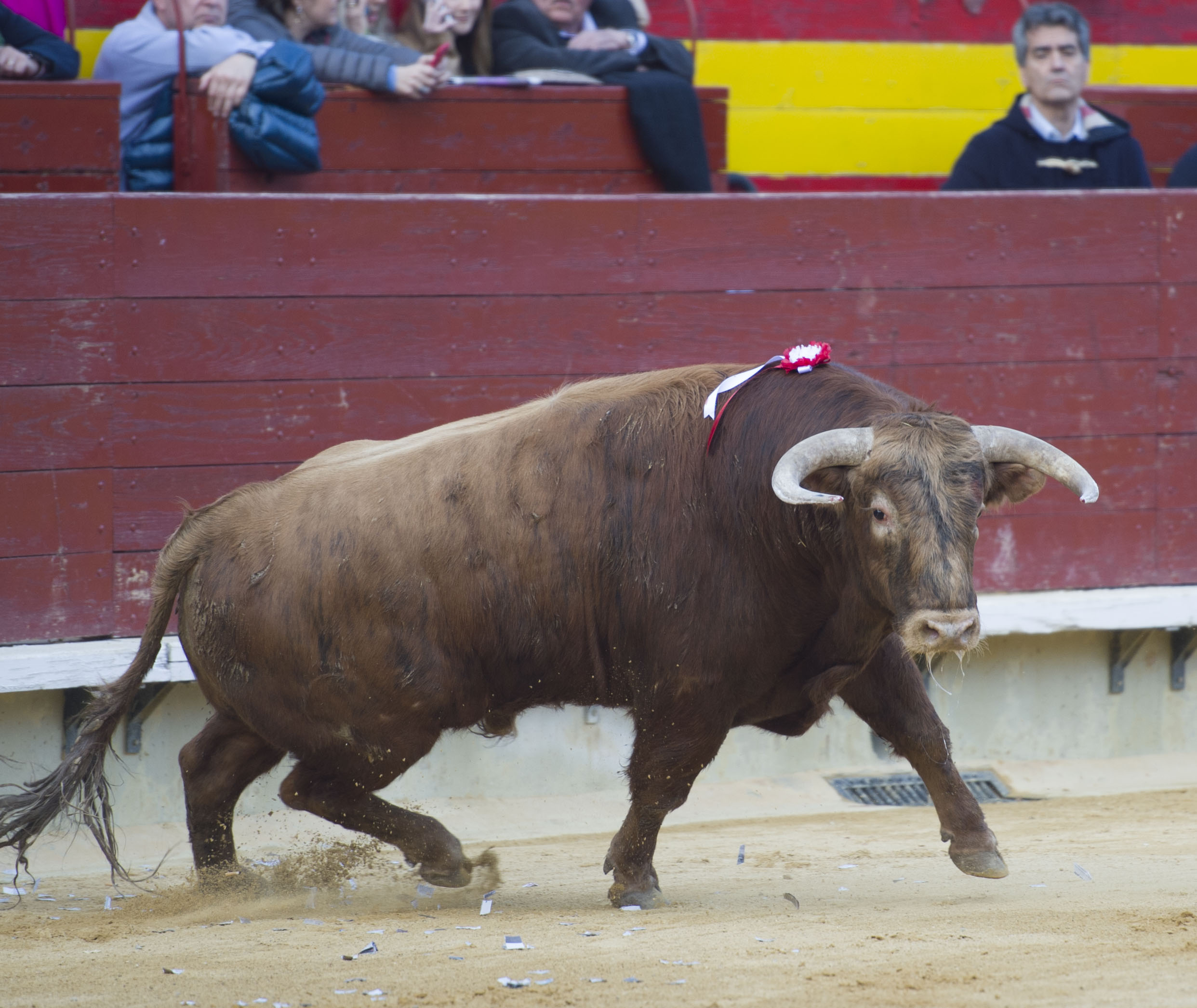 Castellón. Viernes 9 de marzo de 2018