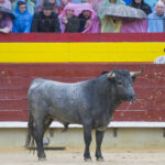 Castellón - Feria de la Magdalena 2018 - Sábado 10 de marzo de 2018