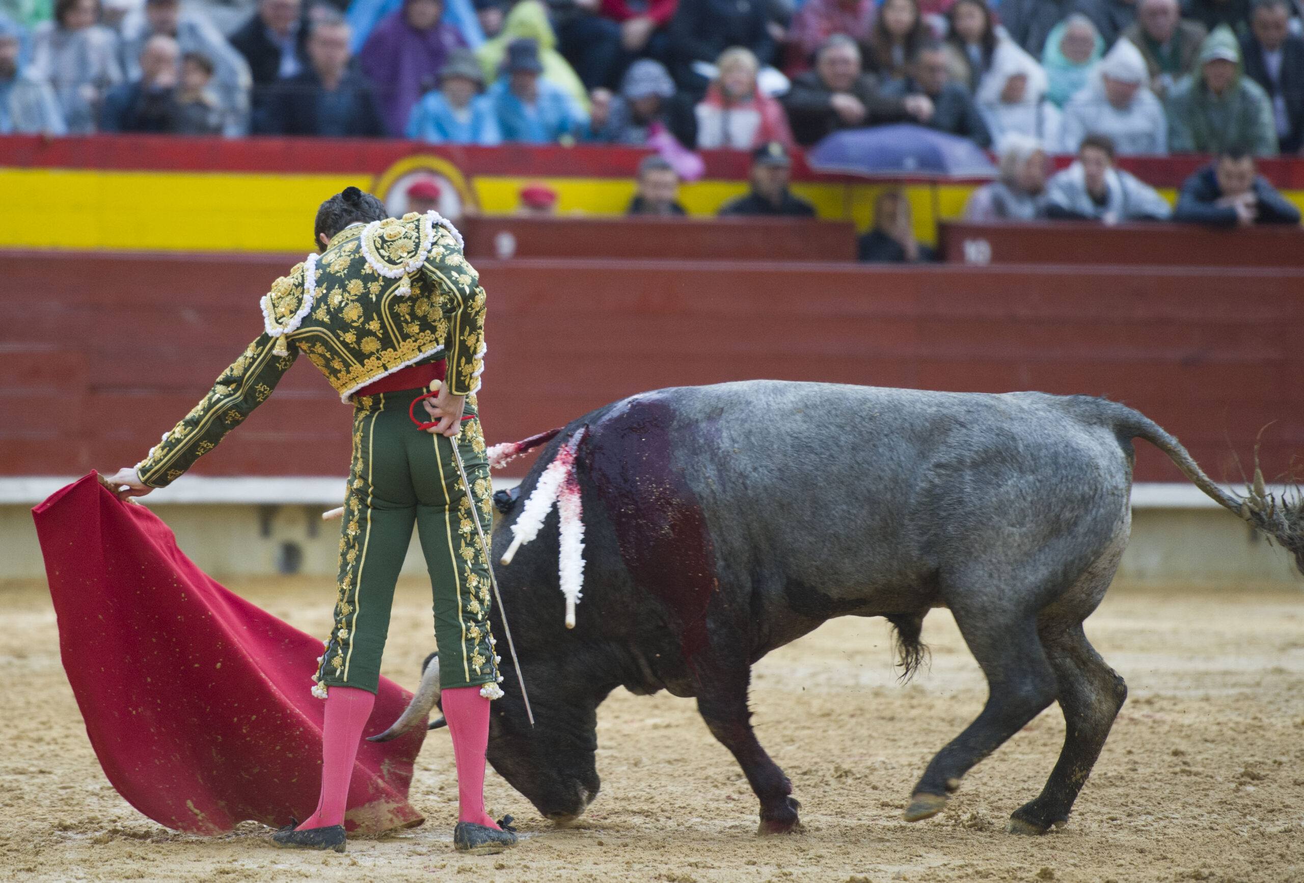 Castellón - Feria de la Magdalena 2018 - Sábado 10 de marzo de 2018
