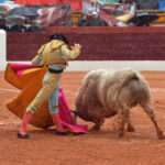 Olivenza - Sábado 3 de marzo de 2018 - Festejo matinal