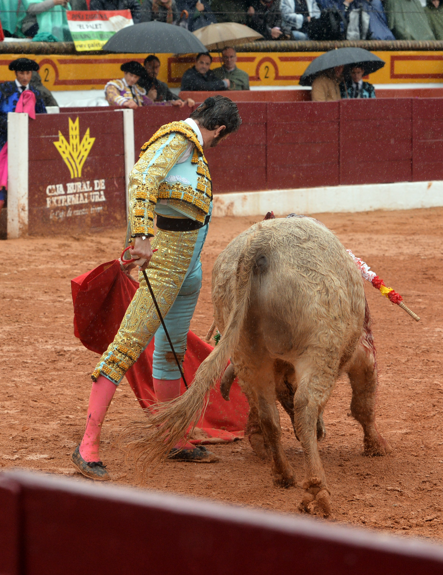 Olivenza - Sábado 3 de marzo de 2018 - Festejo matinal