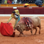 Olivenza - Sábado 3 de marzo de 2018 - Festejo matinal