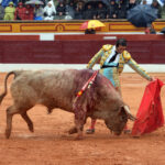 Olivenza - Sábado 3 de marzo de 2018 - Festejo matinal