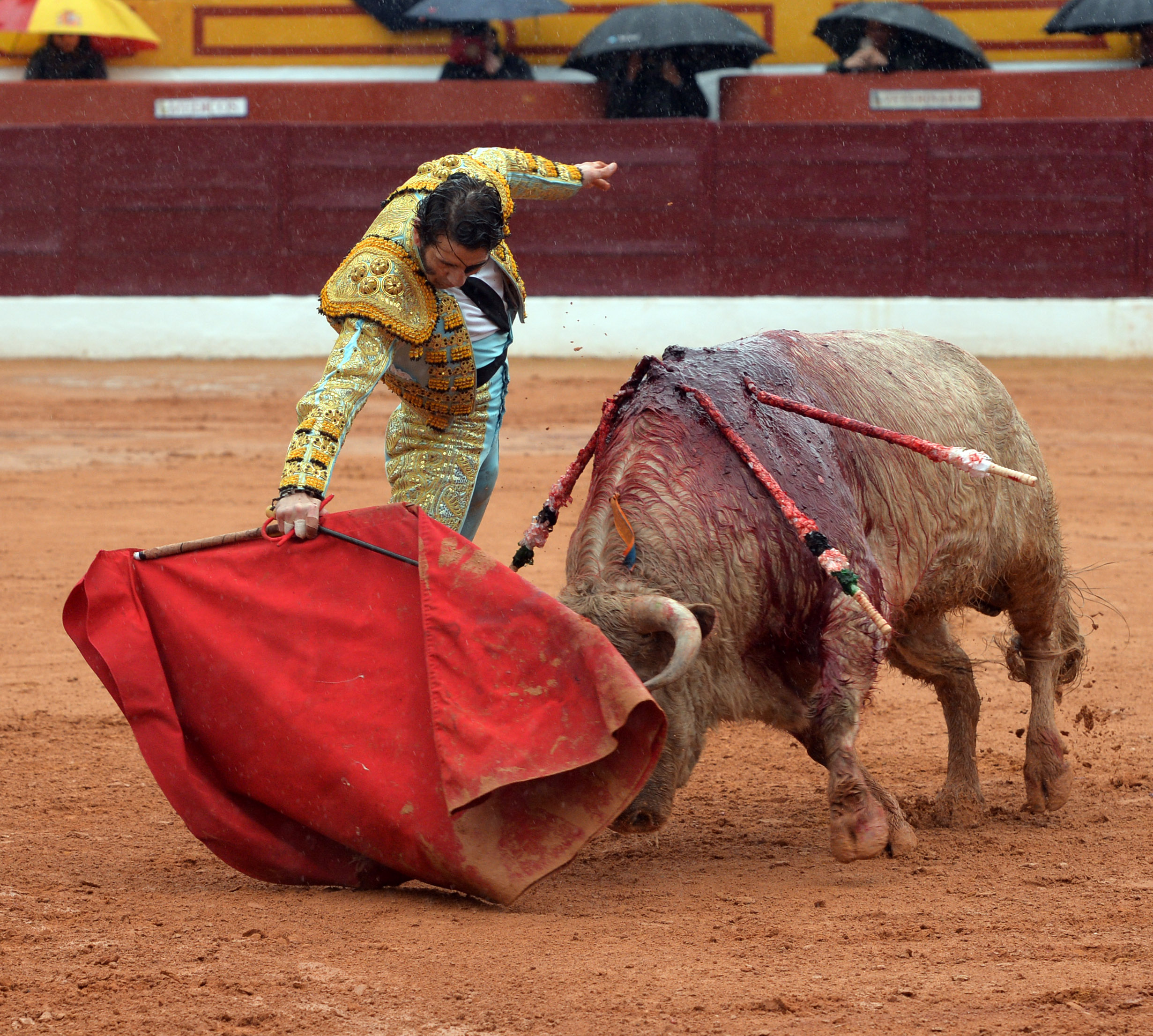 Olivenza - Sábado 3 de marzo de 2018 - Festejo matinal