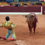 Olivenza - Sábado 3 de marzo de 2018 - Festejo matinal