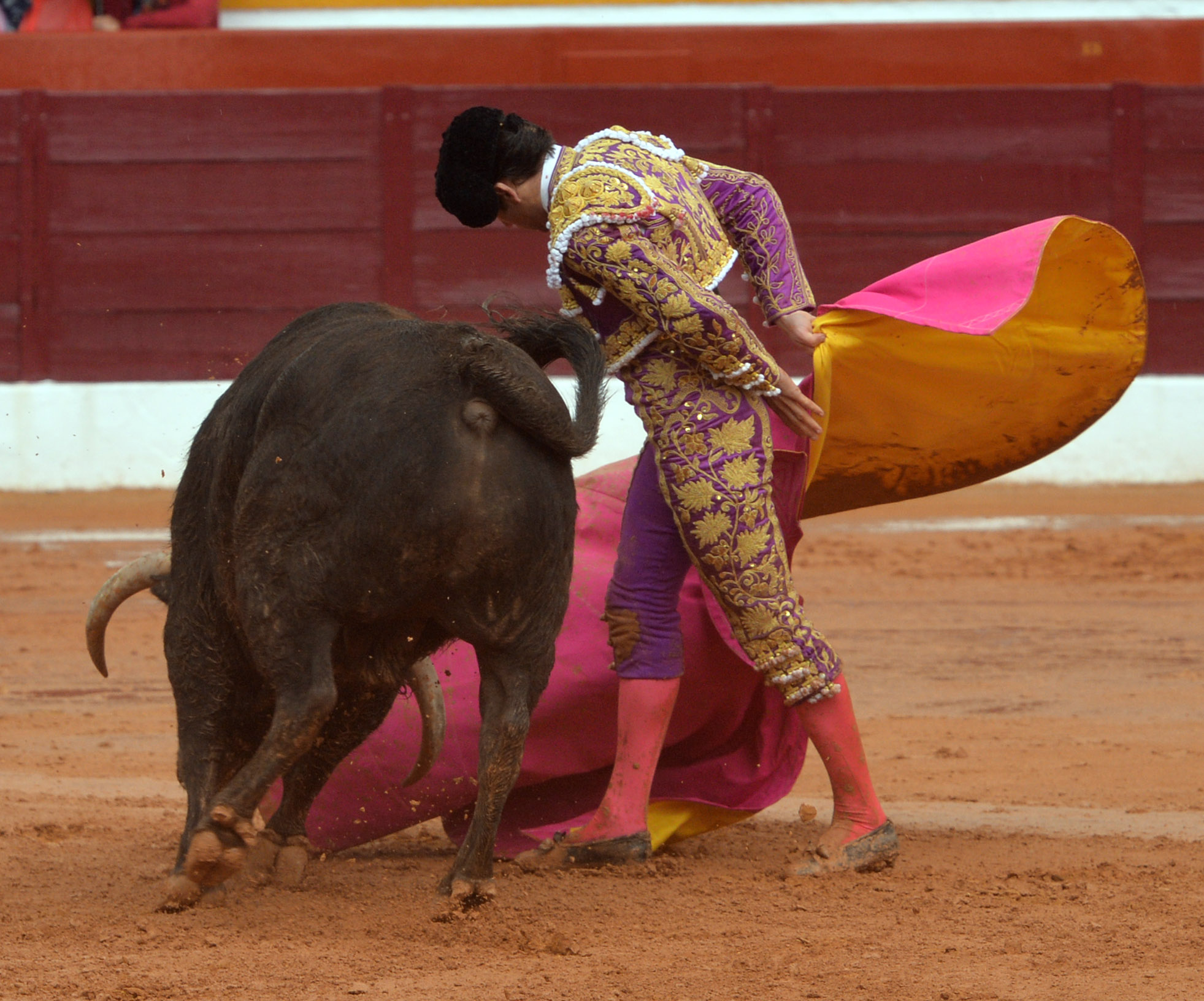 Olivenza - Sábado 3 de marzo de 2018 - Festejo matinal