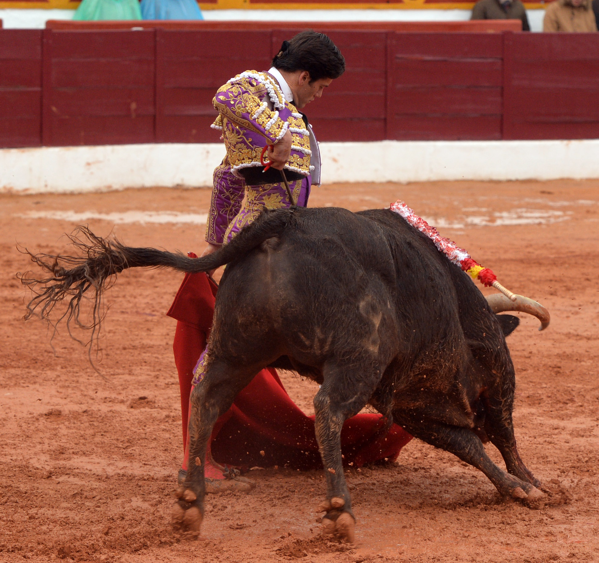 Olivenza - Sábado 3 de marzo de 2018 - Festejo matinal