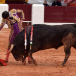 Olivenza - Sábado 3 de marzo de 2018 - Festejo matinal