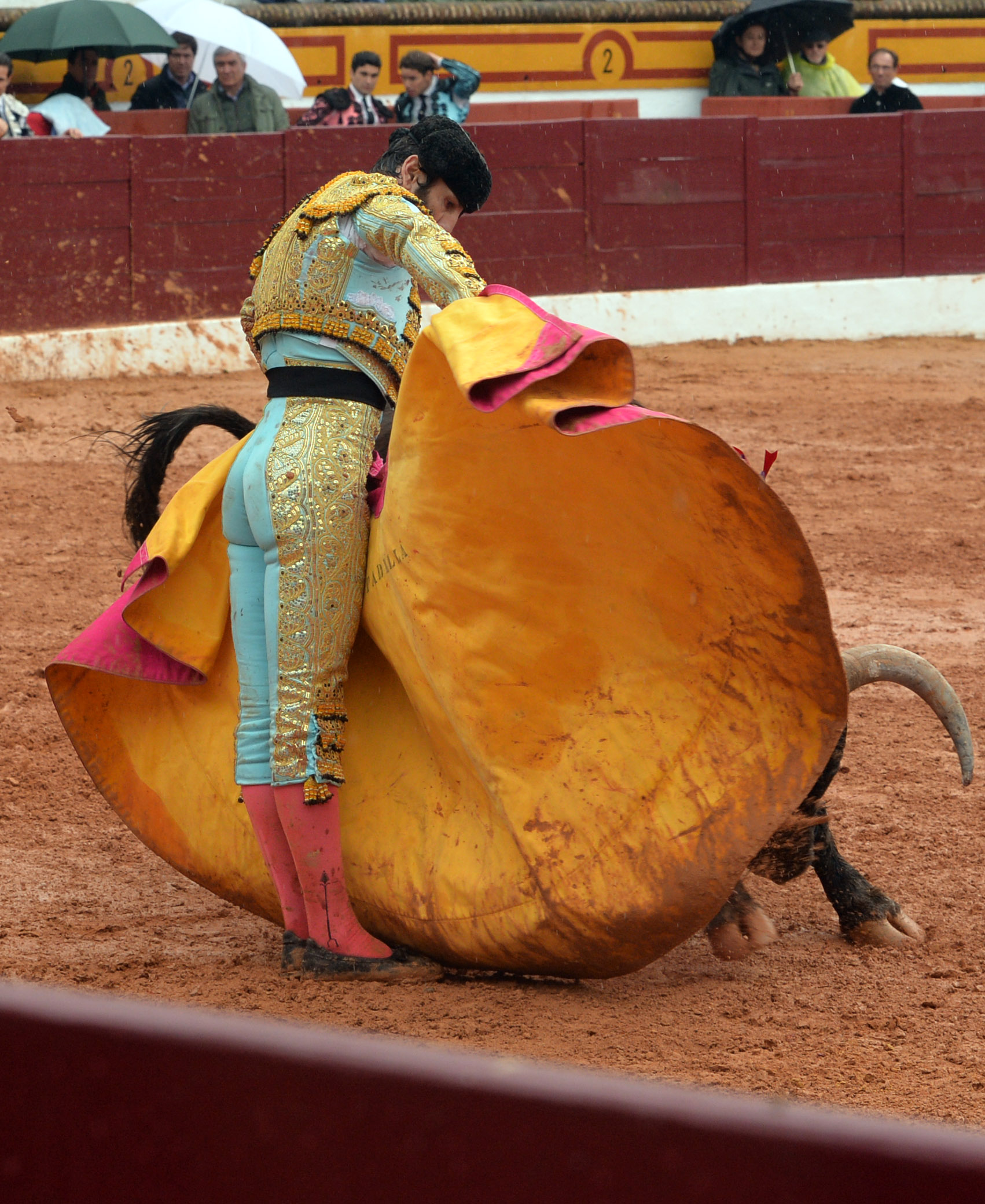 Olivenza - Sábado 3 de marzo de 2018 - Festejo matinal