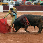 Olivenza - Sábado 3 de marzo de 2018 - Festejo matinal