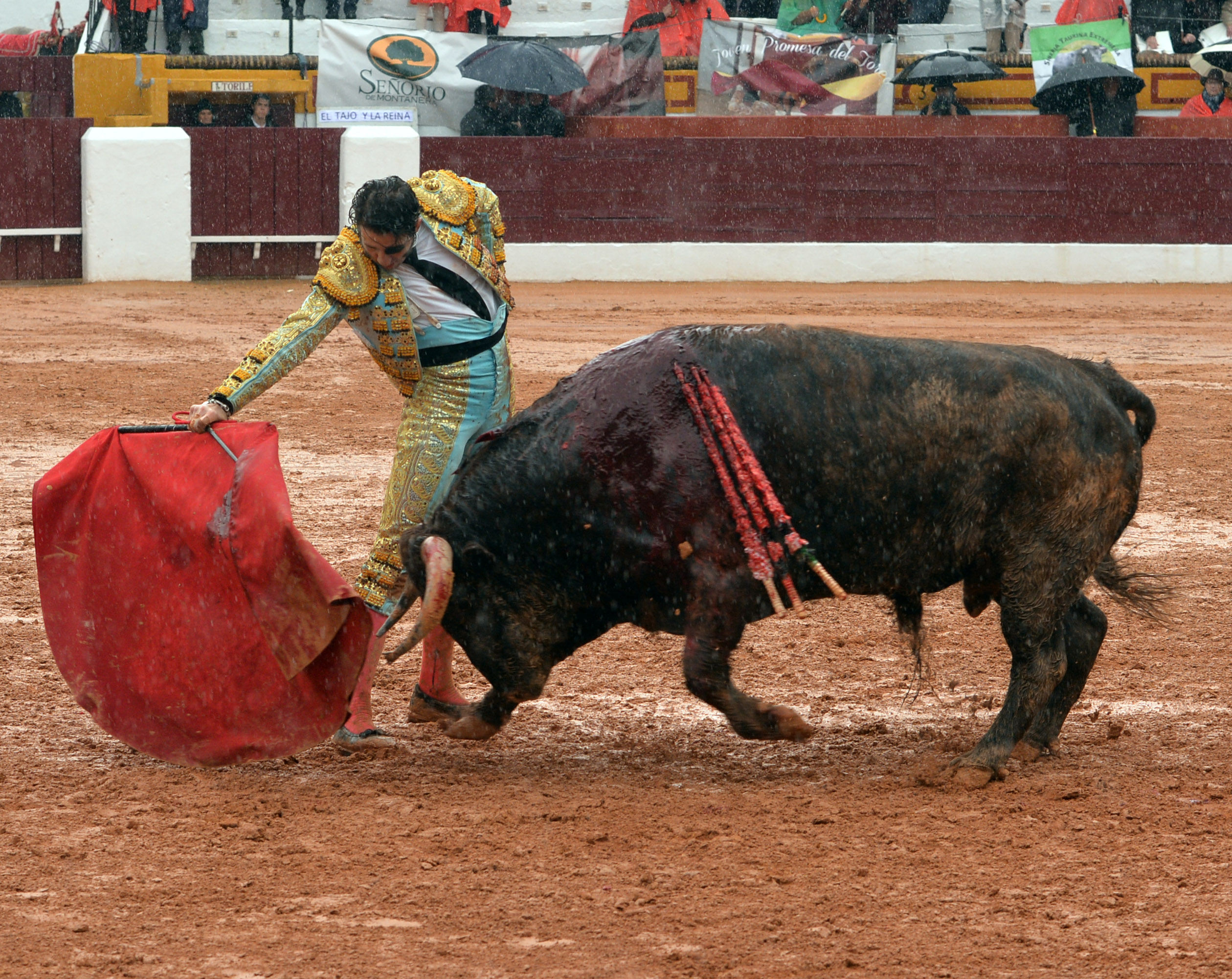 Olivenza - Sábado 3 de marzo de 2018 - Festejo matinal