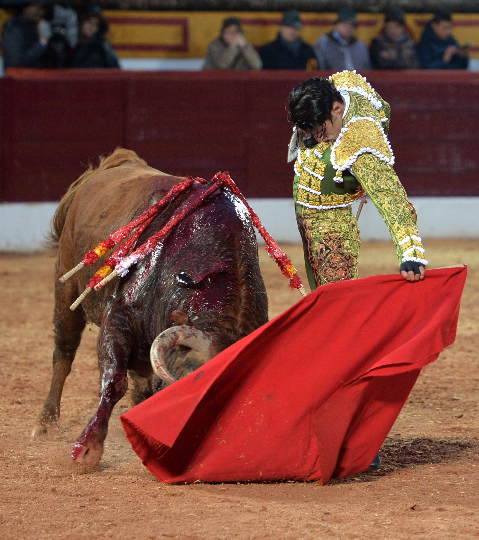 Olivenza(badajoz) - Festejo vespertino del sábado 3 de marzo de 2018