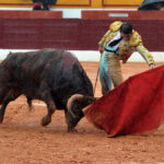 Olivenza - Sábado 3 de marzo de 2018 - Festejo matinal