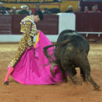 Olivenza(badajoz) - Festejo vespertino del sábado 3 de marzo de 2018