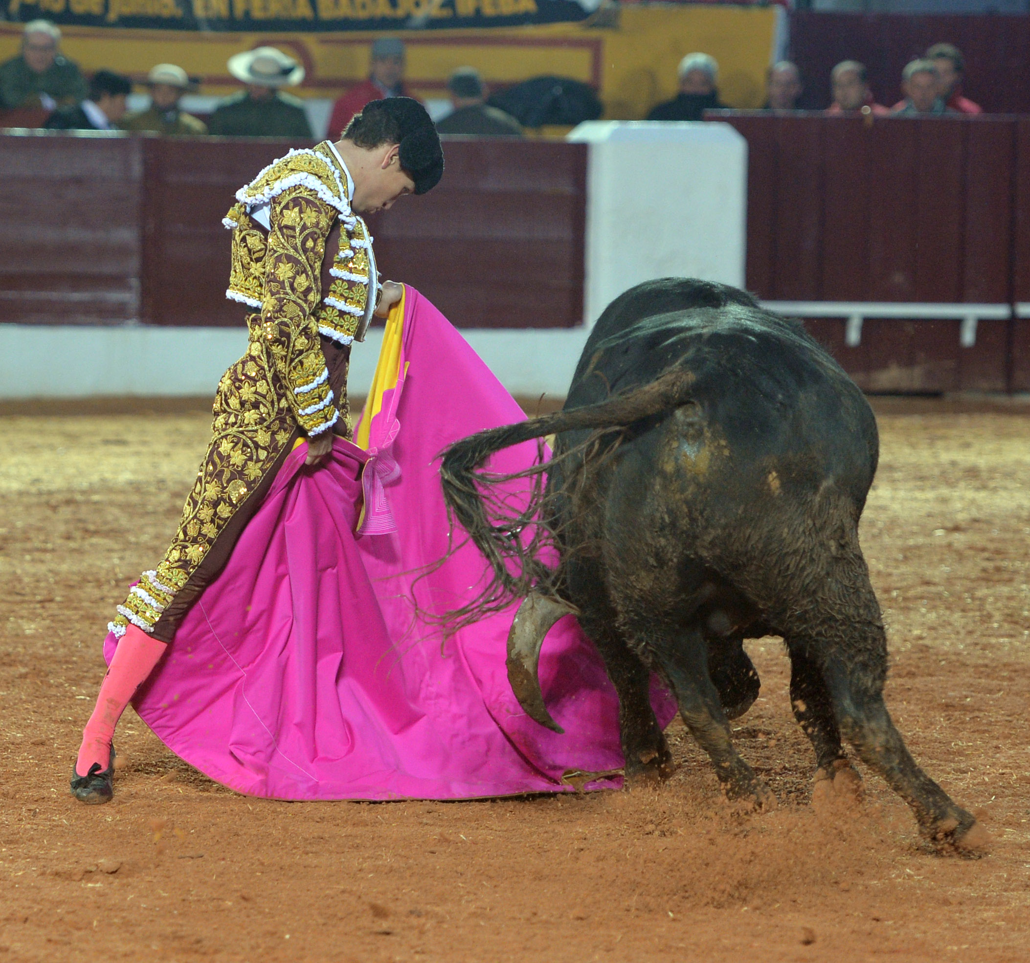 Olivenza(badajoz) - Festejo vespertino del sábado 3 de marzo de 2018