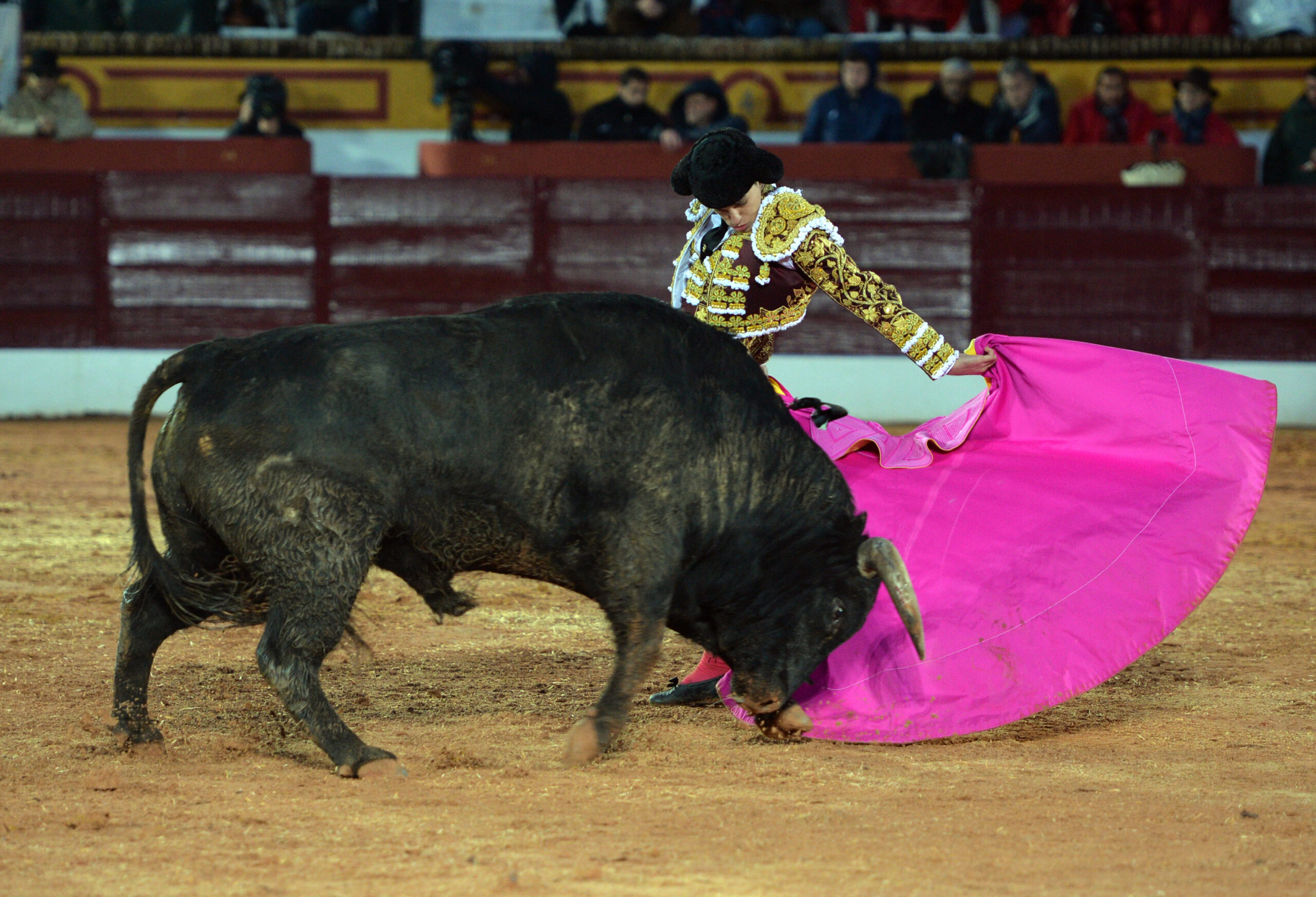 Olivenza(badajoz) - Festejo vespertino del sábado 3 de marzo de 2018