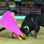 Olivenza(badajoz) - Festejo vespertino del sábado 3 de marzo de 2018