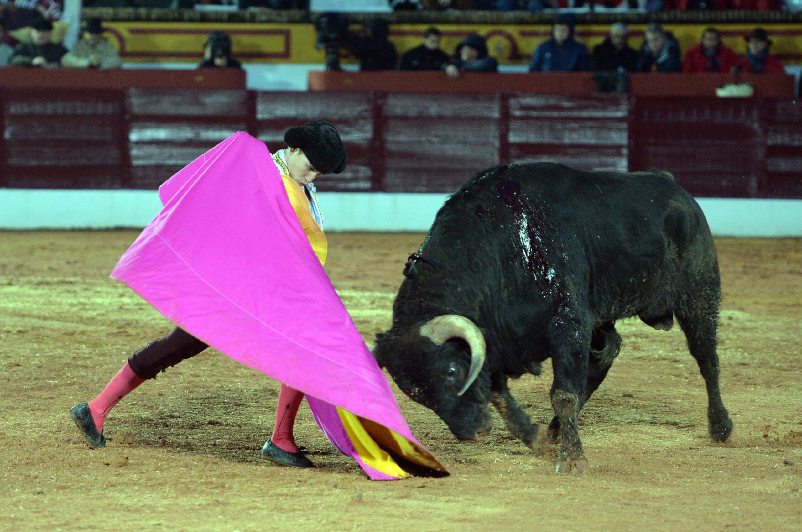 Olivenza(badajoz) - Festejo vespertino del sábado 3 de marzo de 2018