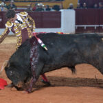 Olivenza(badajoz) - Festejo vespertino del sábado 3 de marzo de 2018