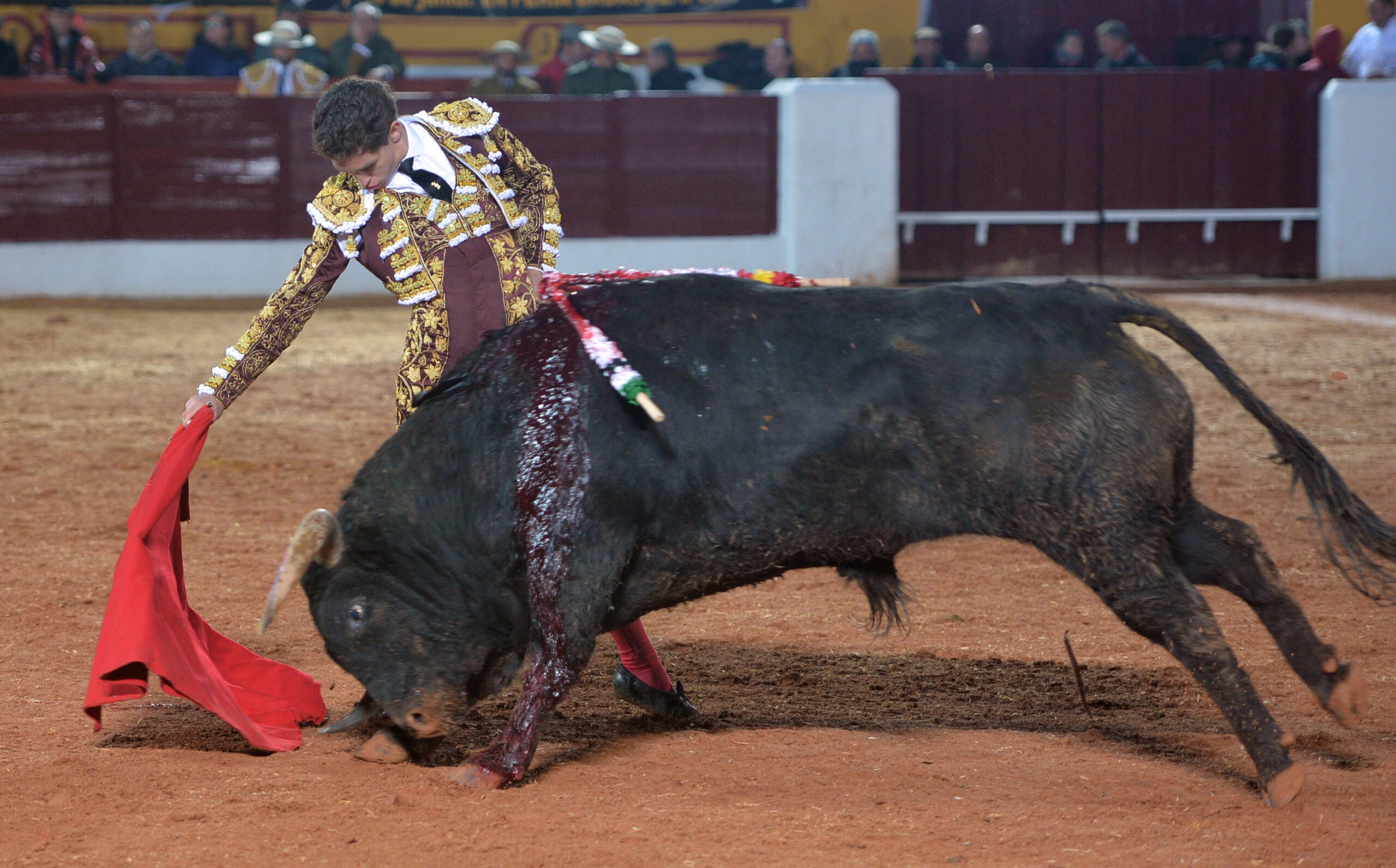 Olivenza(badajoz) - Festejo vespertino del sábado 3 de marzo de 2018