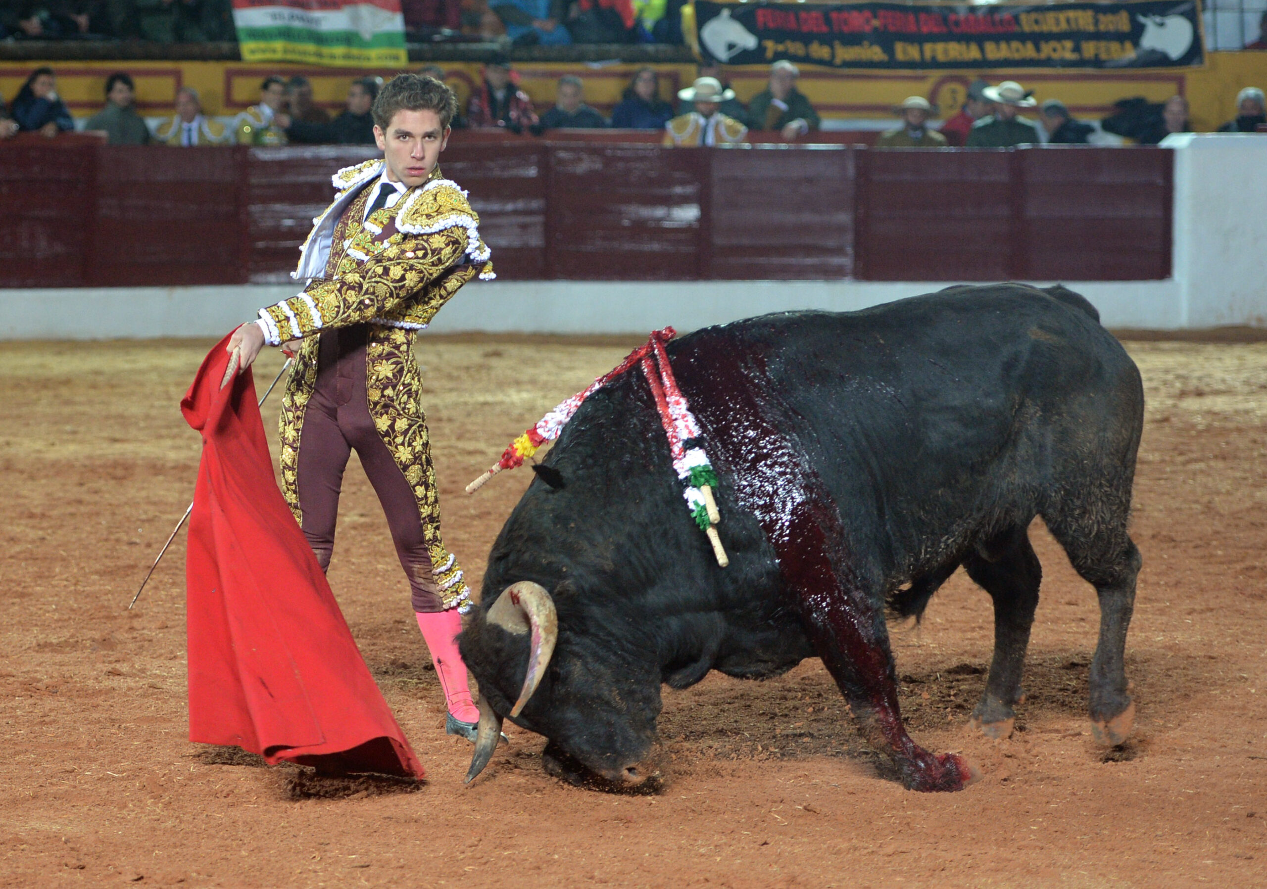 Olivenza(badajoz) - Festejo vespertino del sábado 3 de marzo de 2018