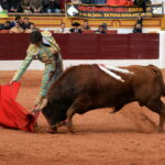 Olienza (Badajoz) - Festejo matinal del domingo 4 de marzo de 2018