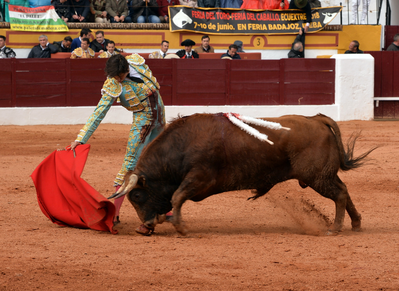Olienza (Badajoz) - Festejo matinal del domingo 4 de marzo de 2018