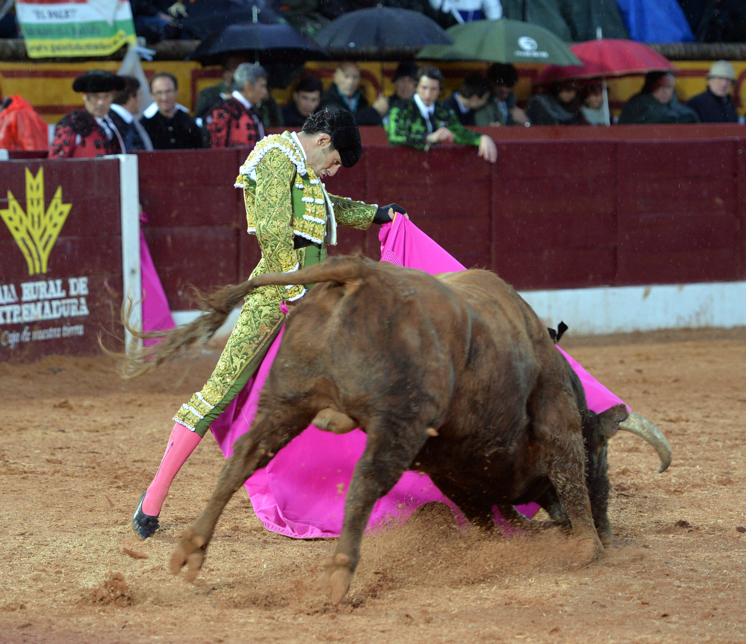 Olivenza(badajoz) - Festejo vespertino del sábado 3 de marzo de 2018
