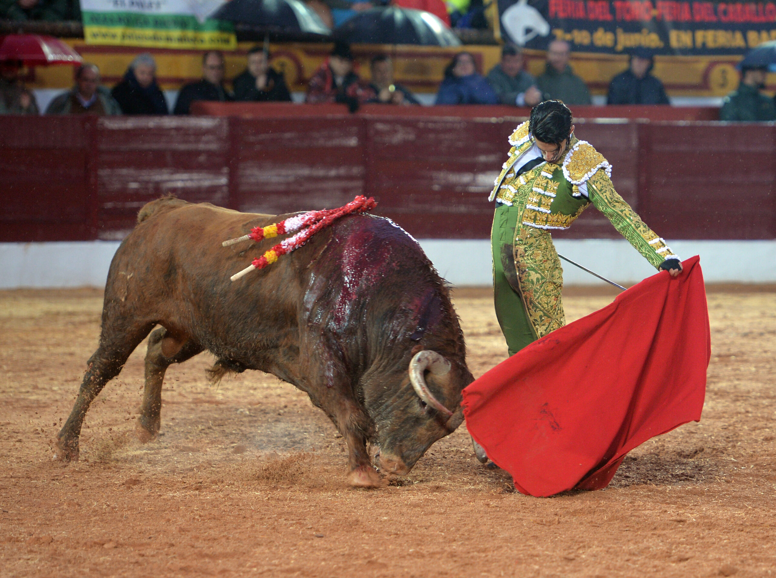 Olivenza(badajoz) - Festejo vespertino del sábado 3 de marzo de 2018