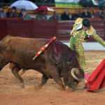 Olivenza(badajoz) - Festejo vespertino del sábado 3 de marzo de 2018