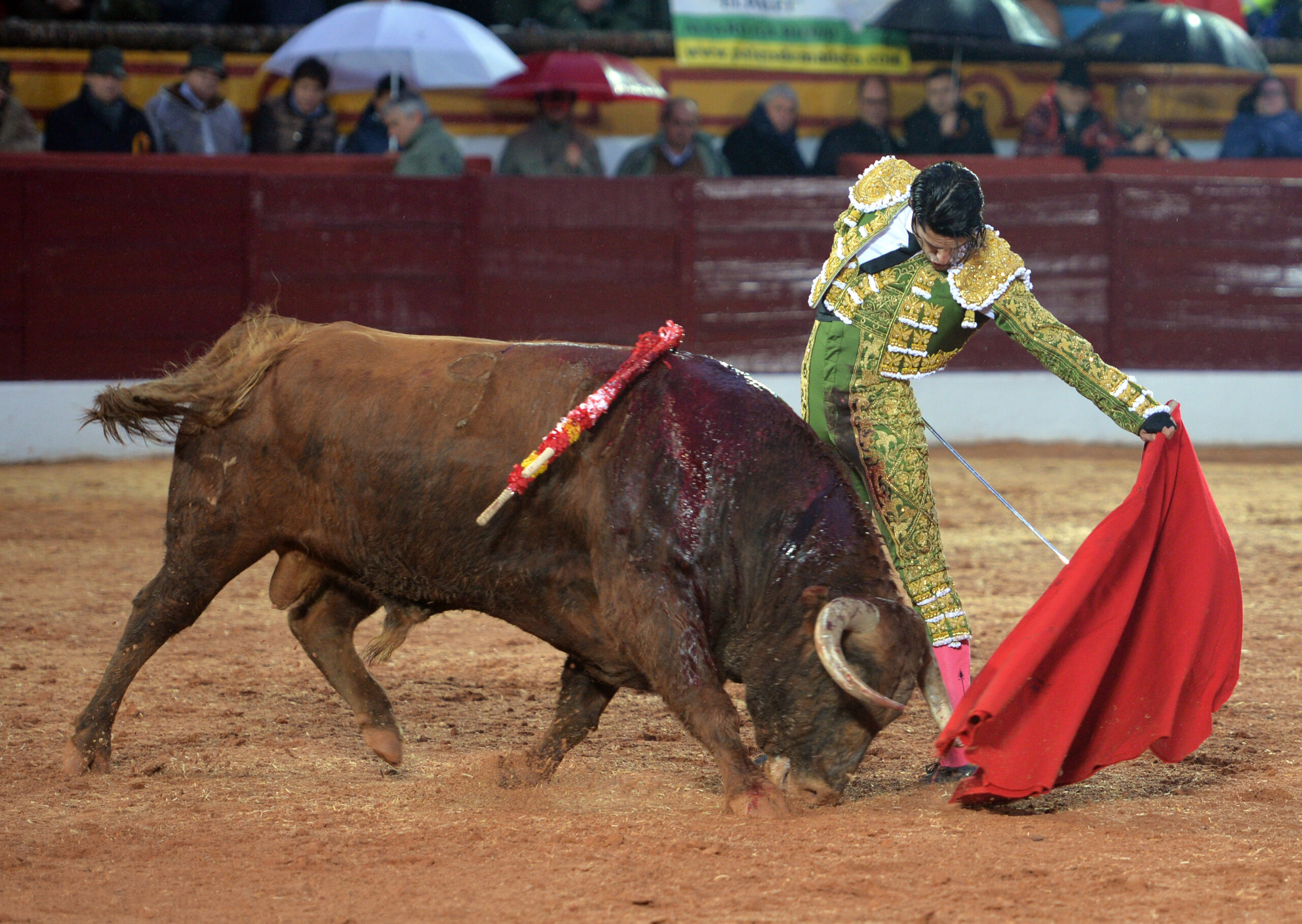 Olivenza(badajoz) - Festejo vespertino del sábado 3 de marzo de 2018