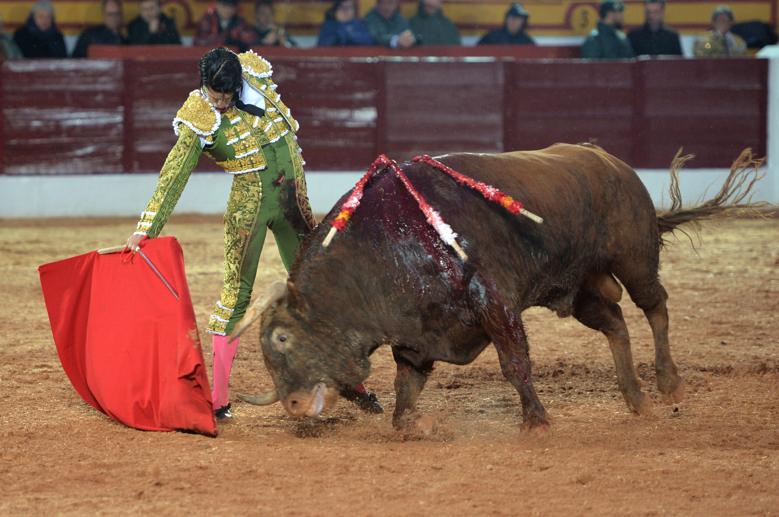 Olivenza(badajoz) - Festejo vespertino del sábado 3 de marzo de 2018